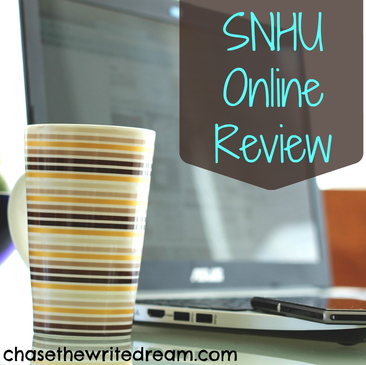 SNHU Online Review Thoughts From a Student