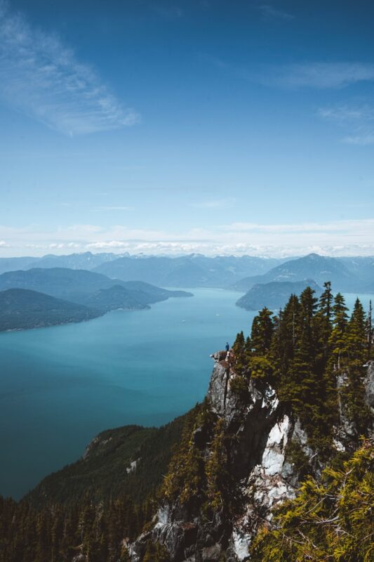 green trees on mountain near lake during daytime